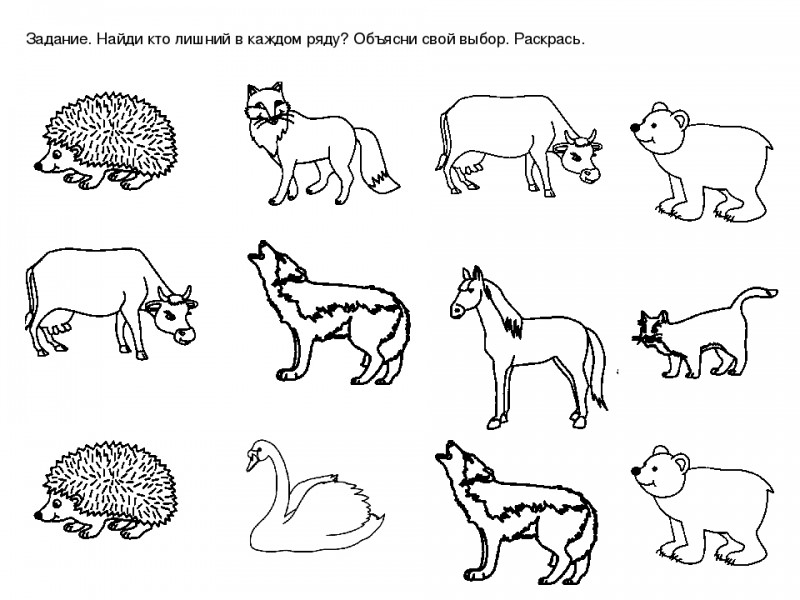 Найди лишнее картинки сложные